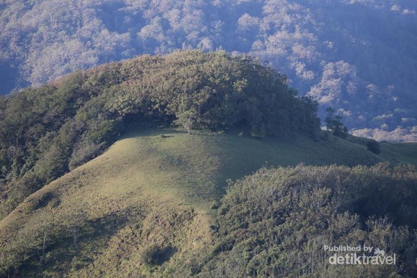 Mau Mendaki di NTT Coba ke Gunung  Mutis 