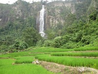 Air Terjun yang berpadu dengan sawah hijau Air Terjun yang berpadu dengan sawah hijau