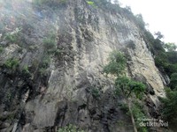 Tebing Sampuran Harimau Tebing Sampuran Harimau