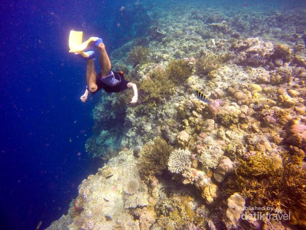 Menyelami Indahnya Alam Bawah Laut Pulau Menjangan