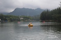 Bebek dayung di lokasi wisata Bebek dayung di lokasi wisata