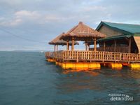 Lobster di Tengah Laut