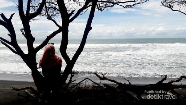 Satu Lagi Yang Cantik Di Yogya Pantai Goa Cemara