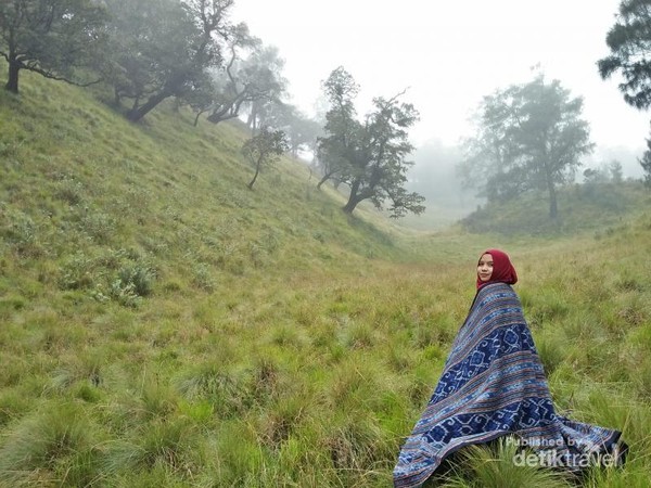 Perjalanan Tak Kenal Lelah Menuju Puncak Gunung Lawu
