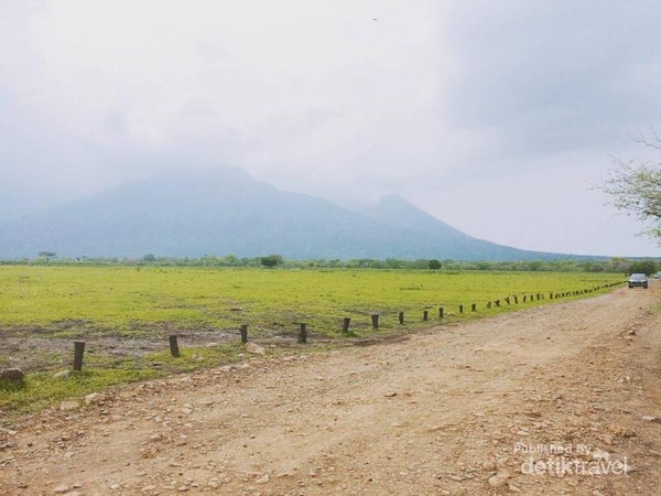 Keseruan Bertualang Ke Afrika Nya Jawa