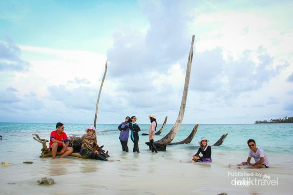  Gambar  Pemandangan  Pulau Cantik di Tengah  Laut  Ideas for the