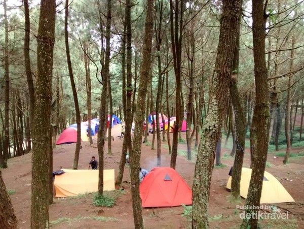 Yuk Coba Kemping Seru Di Gunung Bunder Bogor Foto 2