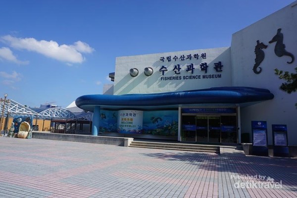 Wisata Bahari & Edukasi di Museum Perikanan Busan