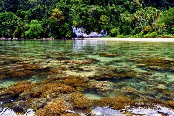 Pantai Air Belanda, Perawan Indah dari Pulau Seram Utara