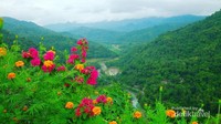 Salah satu spot foto ditebing dengan background aliran sungai yang di tanami beberapa bunga Salah satu spot foto ditebing dengan background aliran sungai yang di tanami beberapa bunga