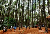 Suasana pengunjung Hutan Pinus Pengger Suasana pengunjung Hutan Pinus Pengger