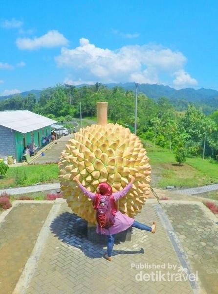 Download 99+ Gambar Durian Raksasa Terbaik 