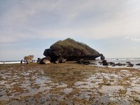 Bebatuan karang Bebatuan karang