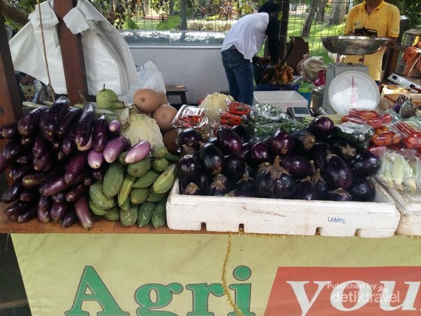 Bisa Wisata Kuliner Di Taman Impian Jaya Ancol Bisa Wisata Kuliner Di Taman Impian Jaya Ancol