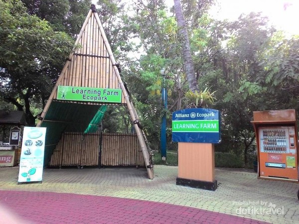 Wisata Edukasi yang Asyik di Ancol