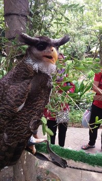 Main Bareng Burung Di Fauna Land Ancol