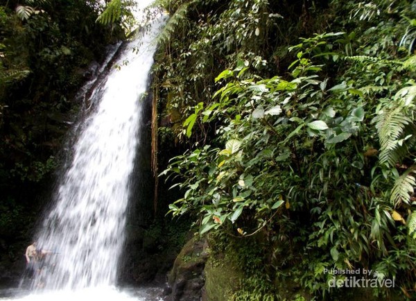 Air Terjun di Gunung Halimun yang Konon Bikin Awet Muda