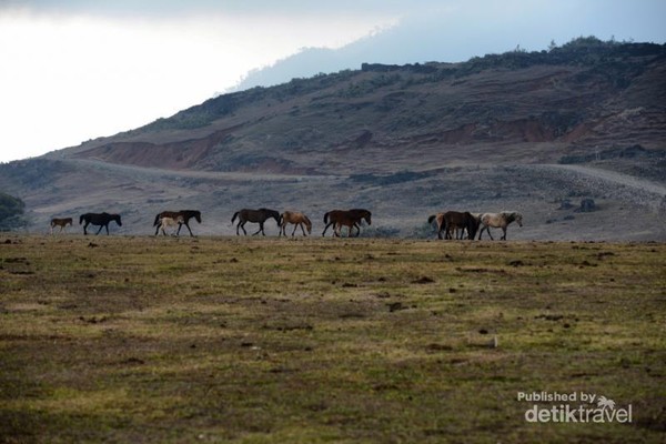 Unduh 400 Koleksi Gambar Gunung Lakaan  