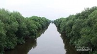 Traveler dapat menjelajah hutan ini dengan perahu dan kano yang disewakan Traveler dapat menjelajah hutan ini dengan perahu dan kano yang disewakan