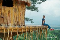 Menikmati pemandangan dari rumah pohon di Eling Bening Menikmati pemandangan dari rumah pohon di Eling Bening