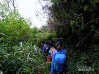 Menyusuri hutan selama kurang lebih 4 jam Menyusuri hutan selama kurang lebih 4 jam