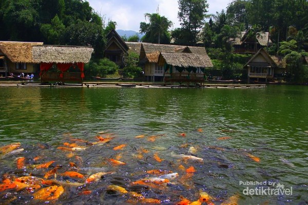 Wisata Serba Ada Di Kampung Sampireun Garut