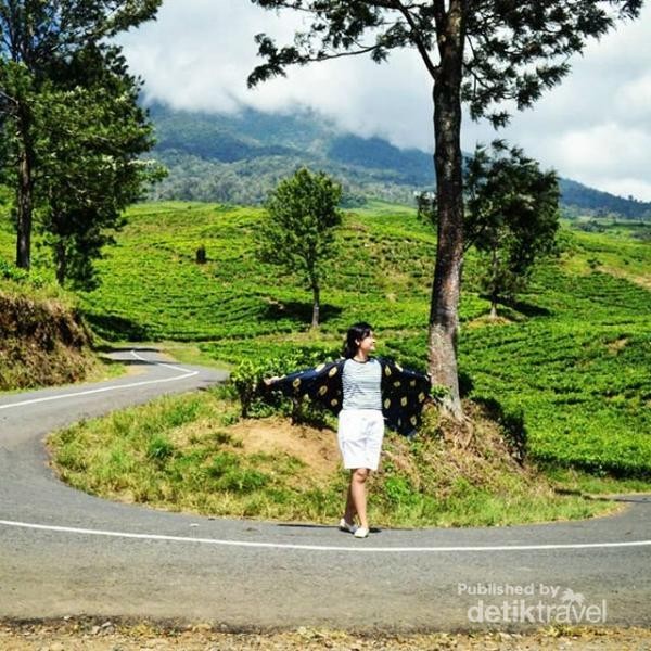 Yang Hijau hijau di Pagaralam 