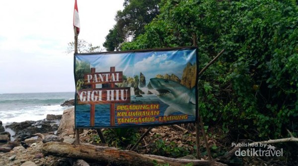 Sudah Tahu Pantai Gigi Hiu di Lampung?