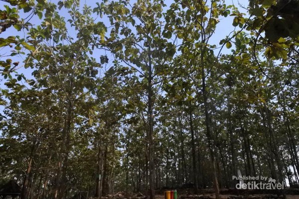 Ini Bukit Instagramable Yang Naik Daun Di Yogyakarta