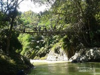 Jembatan Akar yang kami tuju. Saat itu, ada shooting film di area ini. Jembatan Akar yang kami tuju. Saat itu, ada shooting film di area ini.