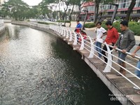 Memberi makan ikan-ikan di kali yang bersih menjadi kegiatan Ngabuburit yang menyenangkan Memberi makan ikan-ikan di kali yang bersih menjadi kegiatan Ngabuburit yang menyenangkan