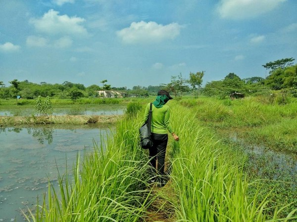 Pemandian Air Panas Ciseeng Bogor