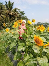 Selfie di taman bunga Selfie di taman bunga