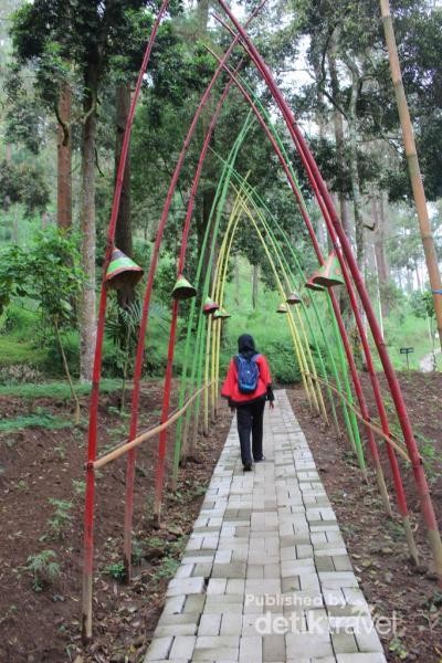 Spot Foto Kekinian di Dekat Solo