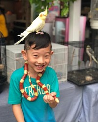 Gemasnya Anjing-Anjing Di Rumah Guguk Lembang Bandung