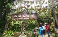 Dewi Kinnaris Bird Aviary, merupakan bagian dari Royal Safari Garden Bogor. Dewi Kinnaris Bird Aviary, merupakan bagian dari Royal Safari Garden Bogor.