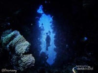 Dive Spot :Batu Belanda: banyak menemukan barel dan bunga karang dan gua-gua kecil dan celah-celah. Dive Spot :Batu Belanda: banyak menemukan barel dan bunga karang dan gua-gua kecil dan celah-celah.