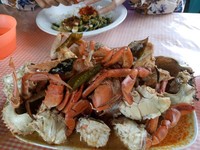 Penampakan kepiting Penampakan kepiting