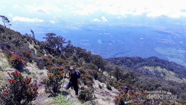 Jalur Penuh Misteri Menuju Gunung Arjuno Foto 3