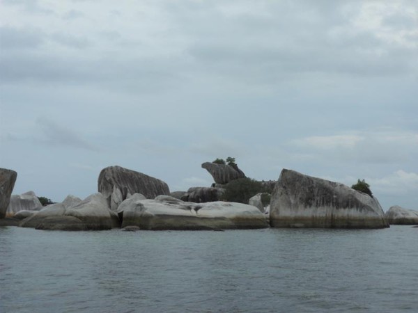 Gambar Kepala Burung Garuda