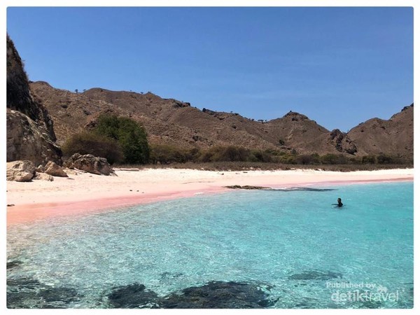 Halo Pantai Pink Labuan Bajo 