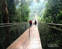 Jembatan Gantung Situ Gunung Jembatan Gantung Situ Gunung