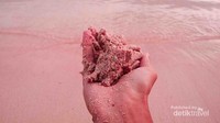 Pasir berwarna merah muda di Pink beach Pasir berwarna merah muda di Pink beach
