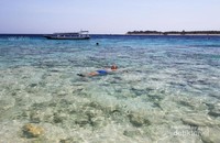Pulau yang terletak di wilayah Indonesia tengah ini merupakan salah satu destinasi wisata pantai favorit di negeri kita. Di tepi pantainya kita dapat menjumpai banyak boat pengangkut wisatawan dari atau ke pulau di sekitarnya. Pulau yang terletak di wilayah Indonesia tengah ini merupakan salah satu destinasi wisata pantai favorit di negeri kita. Di tepi pantainya kita dapat menjumpai banyak boat pengangkut wisatawan dari atau ke pulau di sekitarnya.