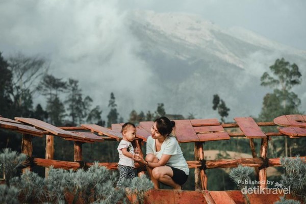 Taman Edelweis Destinasi Baru Instagramable Di Bali