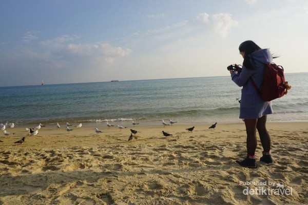 Damainya Pagi Di Haeundae Beach Busan