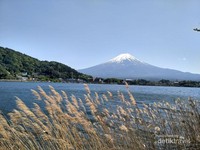 Gunung Fuji tampak cantik dari danau kawaguchiko Gunung Fuji tampak cantik dari danau kawaguchiko