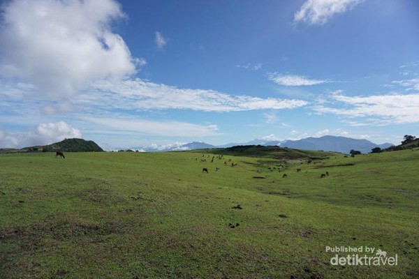  Fulan  Fehan  Savana nan Magis di Tapal Batas