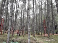 Kampoeng Wisata Ciherang Kampoeng Wisata Ciherang