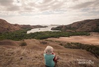 Meliat sekumpulan komodo yang berada di Pulau Rinca Meliat sekumpulan komodo yang berada di Pulau Rinca